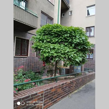 A Cosy Studio In The City Centre Pressburg Exterior foto