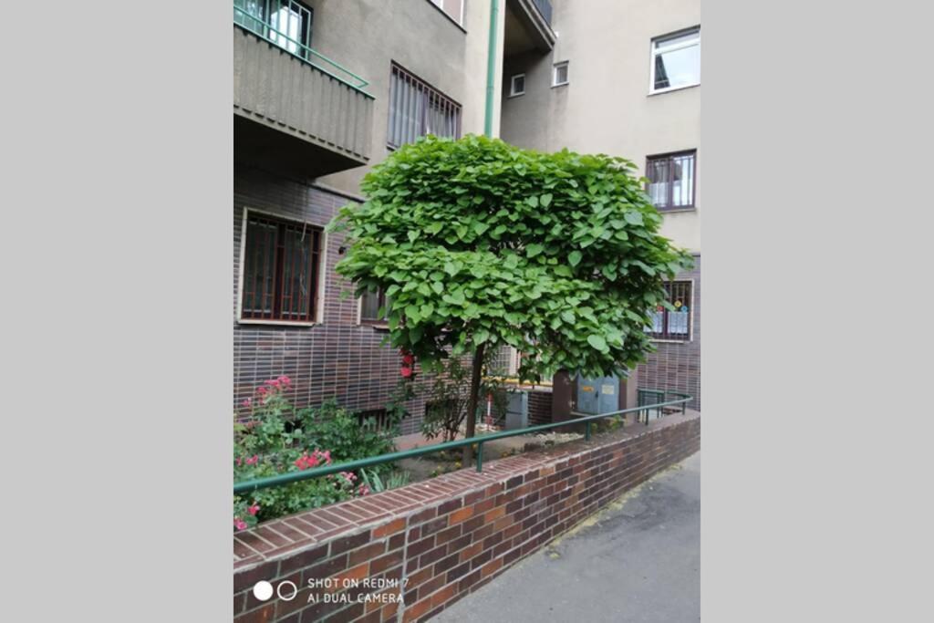 A Cosy Studio In The City Centre Pressburg Exterior foto