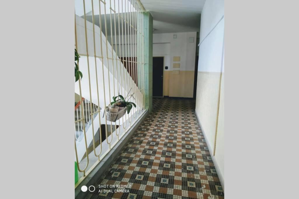 A Cosy Studio In The City Centre Pressburg Exterior foto